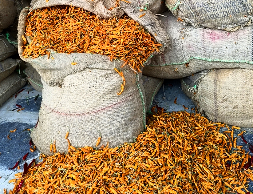 Yellow Mirchi Yellow Dry Chilli